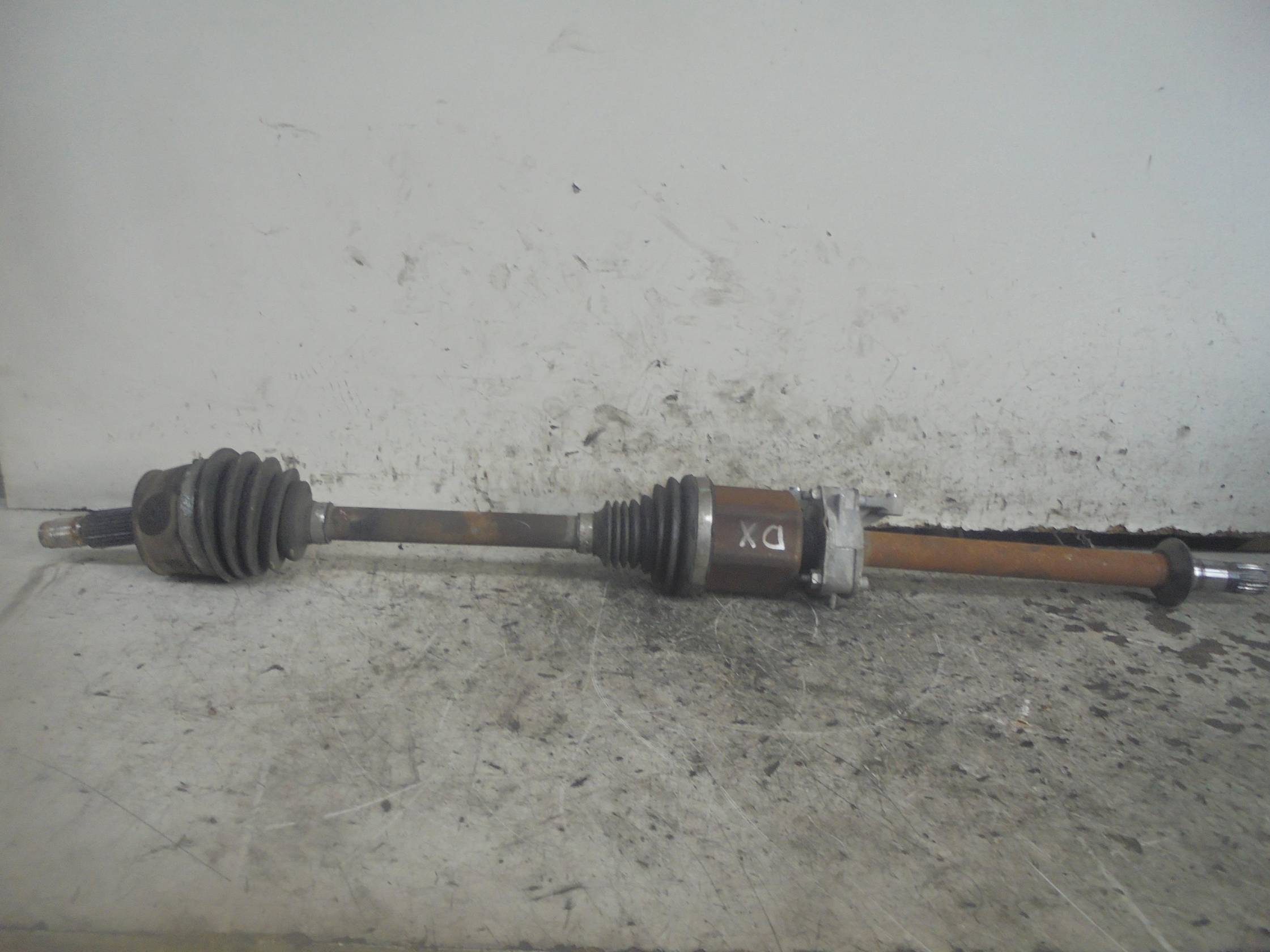 Semialbero ant. compl. dx.